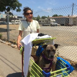 An image of a homeless woman and dog in Cart