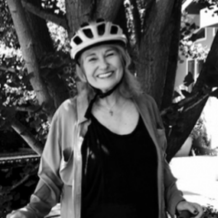 Donna Hoenig-Couch, LCSW